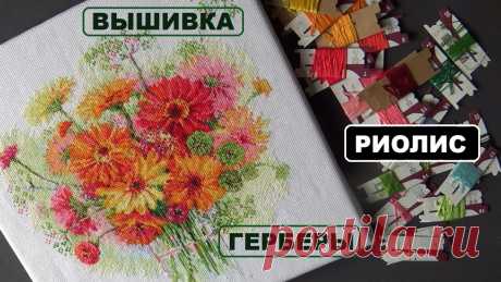 Риолис. Герберы. Незабудки.