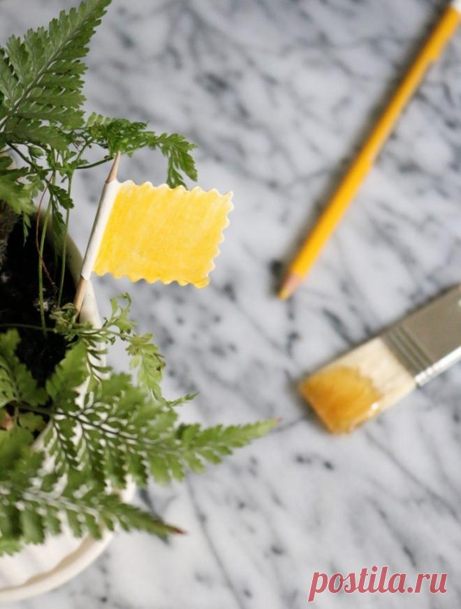 Простые способы избавления от вредителей в цветочных горшках