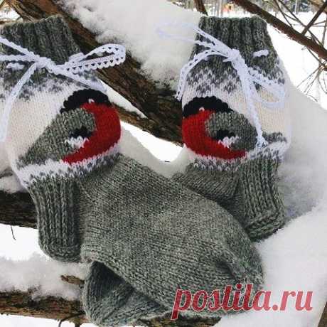 ​Вяжем жаккард со снегирями