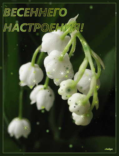 Открытки, анимация, картинки - Открытки весеннего настроения - Пожелания