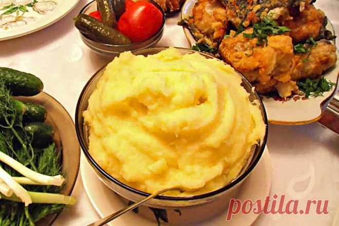 Как приготовить куриные котлеты с сыром?