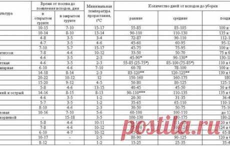 Всхожесть семян, сроки всходов и созревания овощных культур