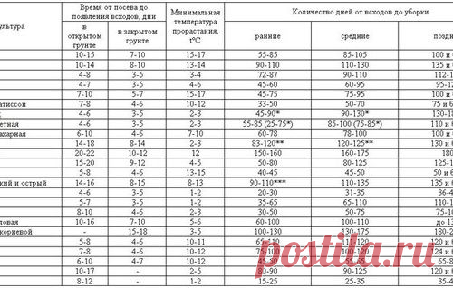 Всхожесть семян, сроки всходов и созревания овощных культур