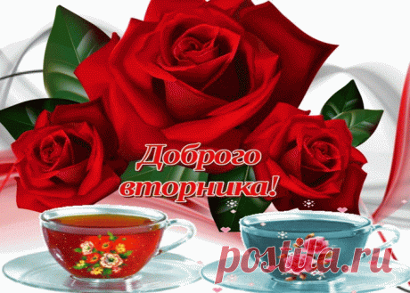 Красивые бесплатные картинки со Вторником | Открытки бесплатно