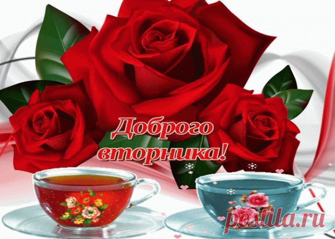 Красивые бесплатные картинки со Вторником | Открытки бесплатно