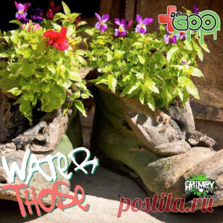 DrGoo - Water Those [Grimey Grooves]