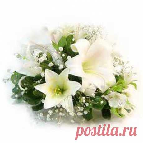 Arreglos De Flores - Bing Изображения