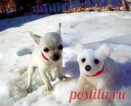 ☼ ❤