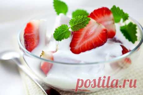 Что такое пробиотики и где их найти: 7 лучших источников | БУДЕТ ВКУСНО!