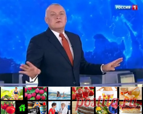 Элита уже не скрывает, что образование им не нужно. Это залог их успеха | Всякая всячина
