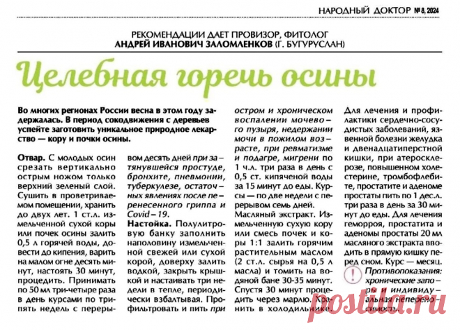 Целебная горечь осины