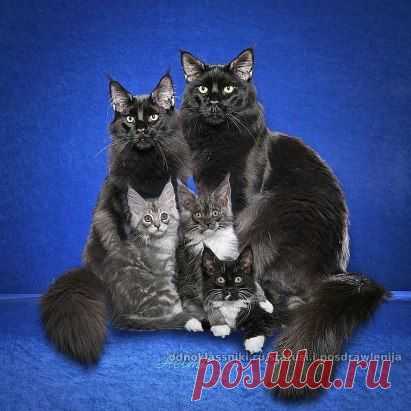 Бывает же такая красота)
