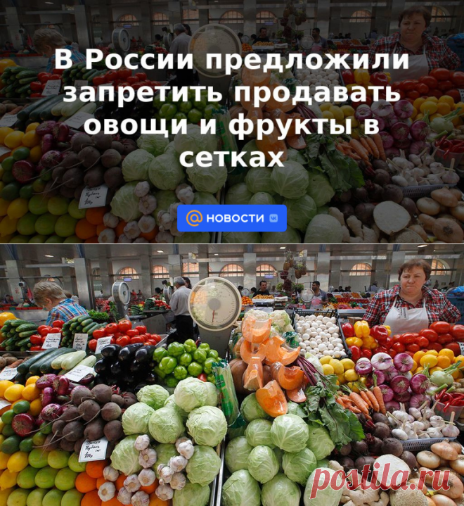 В России предложили запретить продавать овощи и фрукты в сетках | 28 апреля 2023 - Новости Mail.ru