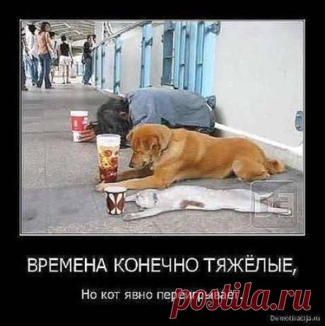 Одноклассники