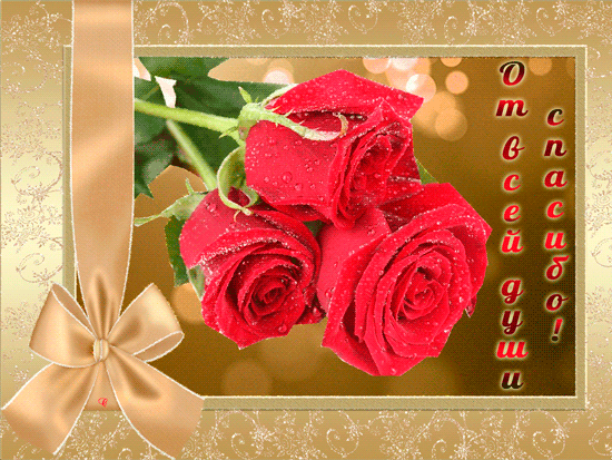 С благодарностью огромной
Вам хочу сейчас сказать,
Что таких, как Вы, хороших
В целом мире не сыскать!