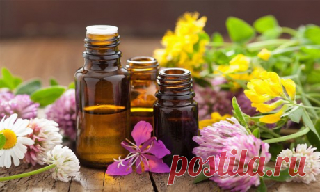 ВЛИЯНИЕ ЭФИРНЫХ МАСЕЛ НА БИОЭНЕРГЕТИКУ ЧЕЛОВЕКА

АПЕЛЬСИН - повышает оптимизм, веру в свои силы, обаяние. Открывает ауру к добру и восприятию положительной информации. Оживляет истонченные слои ауры после тяжелой болезни.

БАЗИЛИК - восстанавливает объективность самооценки, устраняет комплексы.
Показать полностью…