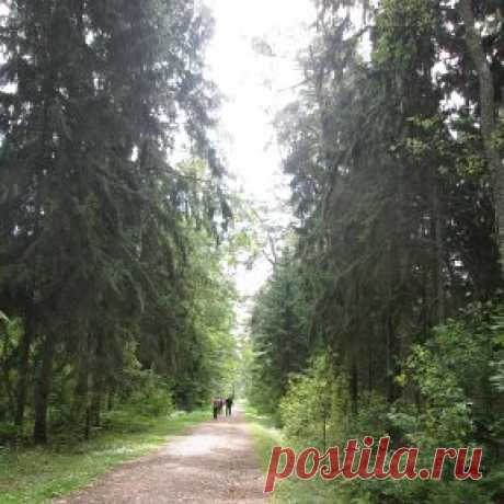 (99+) Одноклассники