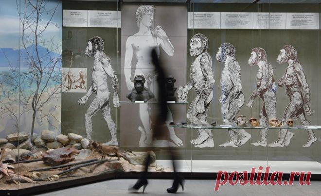 » Единая теория эволюции: Теория Дарвина об эволюции путем естественного отбора неполна без вклада антигероя Ламарка