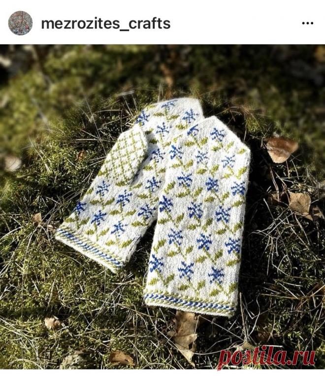 Пин содержит это изображение: