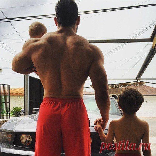 Правильный папка :3 / Абсолютное здоровье