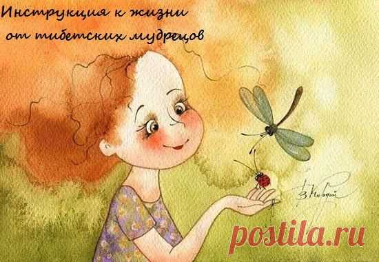 Инструкция к жизни от тибетских мудрецов
1. Нравится - скажи.
2. Не нравится - скажи.
