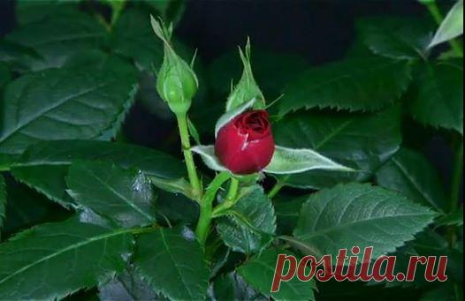 (16) Startlap - Csodás napot mindenkinek!