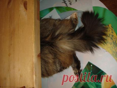 да, толстовата!!! но гибкая!!!!