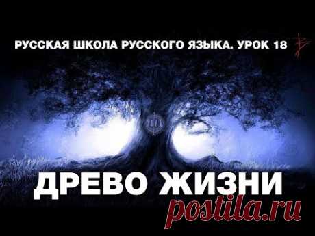 Русская школа русского языка. Древо жизни. Великий Новгород. Урок 18. Виталий Сундаков