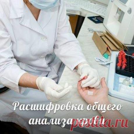 Сделай сам (рецепты, мастер-классы, рукоделие)