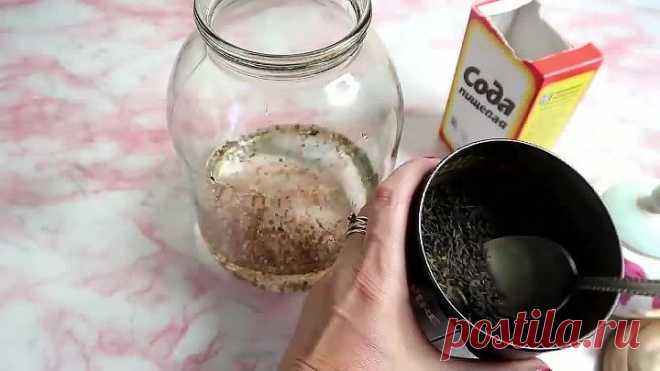 ДОМАШНИЙ РЕЦЕПТ ЭЛИТНОГО КОНЬЯКА!