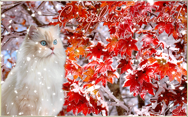 С Первым снегом анимация - Зима картинки - Анимационные блестящие картинки GIF