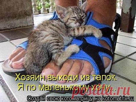 МУП Североморские Теплосети