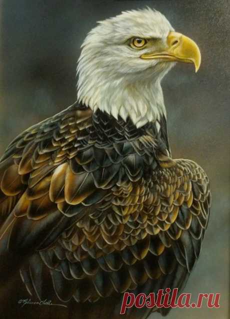 Шоу «Хорошее плохое» – Художественная галерея Ловеттс, Талса | Картины дикой природы и природы Ребекки Лэтэм