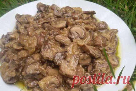 Соус из грибов — Полезные советы