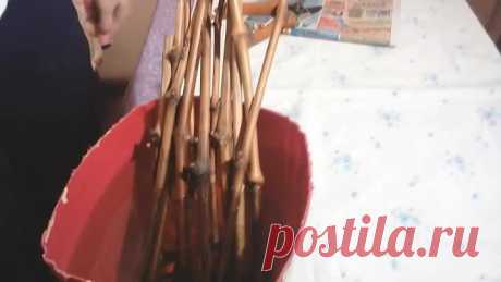 Новый способ укоренения ВИНОГРАДА пошагово