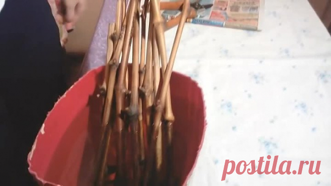 Новый способ укоренения ВИНОГРАДА пошагово