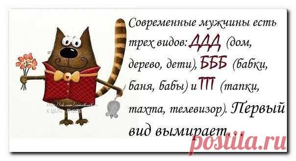 СТАТУСЫ, ЦИТАТЫ, АФОРИЗМЫ