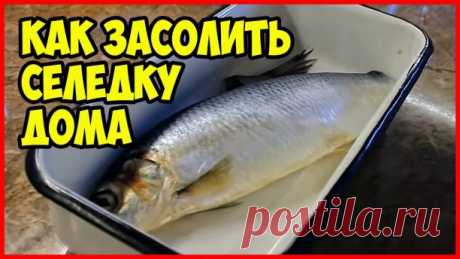 =============================================================

ЗАСОЛКА СЕЛЕДКИ В БАНКЕ