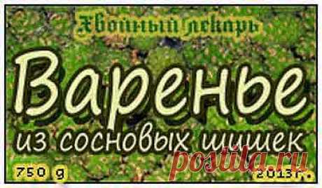 Варенье из молодых сосновых шишек, рецепты