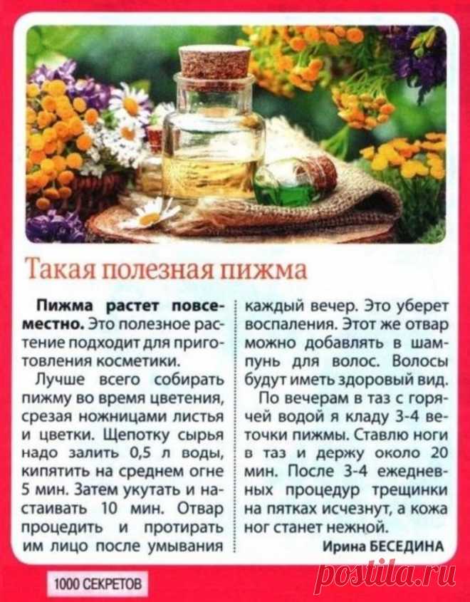 Пижма в косметике