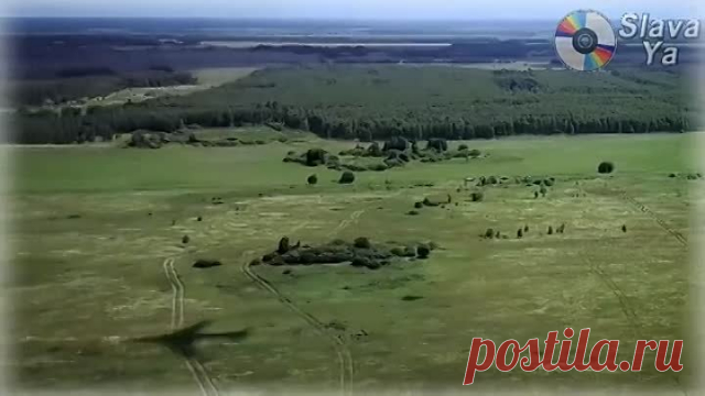 2 яйца
1/2 ч.ложки соли
1,5 ч. ложки разрыхлителя
1 стакан кефира (у меня кефира не оказалось, было только молоко. Проверено, на вкус не влияет)
1 стакан муки
200 гр. сыра
2 сосиски (можно взять колбасу, ветчину, и вообще все то, что завалялось в холодильнике)
зелень (любая)