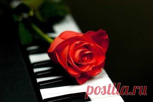 Жизнь - как фортепиано. Белые клавиши - это любовь и счастье, чёрные горе и печаль. Чтобы услышать настоящую музыку жизни, мы должны коснуться и тех, и тех...