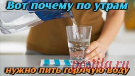 Махровое чудо - 12 Января 2019 - Из жизни.ру - ИЗ ЖИЗНИ.ру
