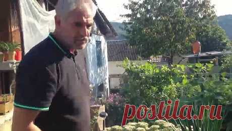 ПЛОВ.КАК ПРАВИЛЬНО ПРИГОТОВИТЬ НАСТОЯЩИЙ УЗБЕКСКИЙ ПЛОВ