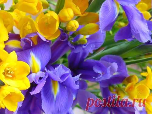 Природа (116 обоев) » Красивые картинки, Обои для рабочего стола, Картинки на рабочий стол, Красивые фото девушек. Ежедневно