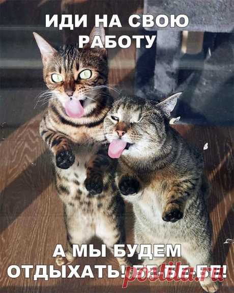 Не хочешь работать на дядю? Тогда узнай, как заработать сидя дома:
https://problemyreshim.ru/kak-zarabotat-sidya-doma/