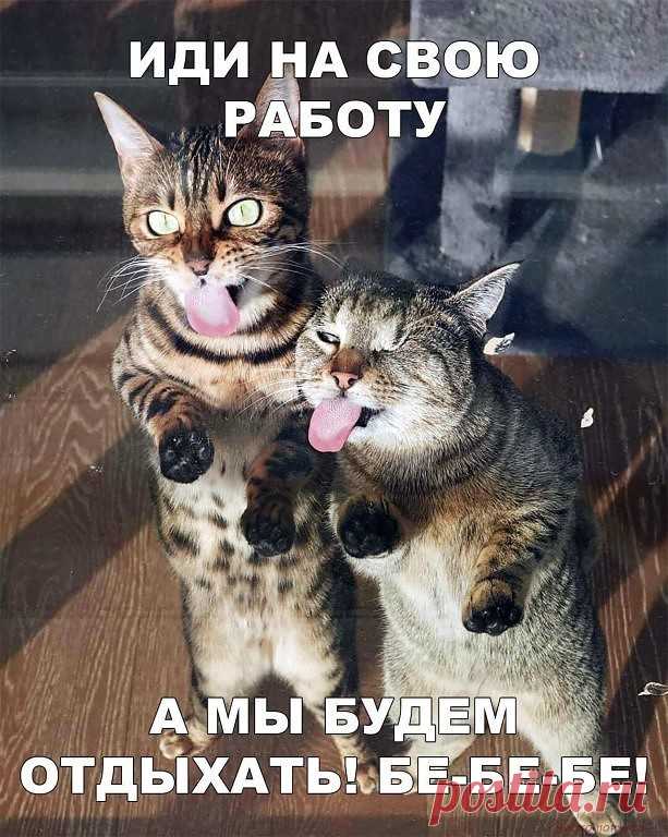 Не хочешь работать на дядю? Тогда узнай, как заработать сидя дома:
https://problemyreshim.ru/kak-zarabotat-sidya-doma/