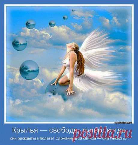 Где живут нассамихи? | Как научиться жить без проблем?