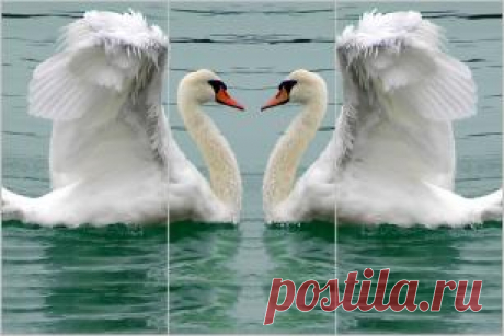 Животные. Фотопечать на двери шкаф-купе. (Страница 22)
