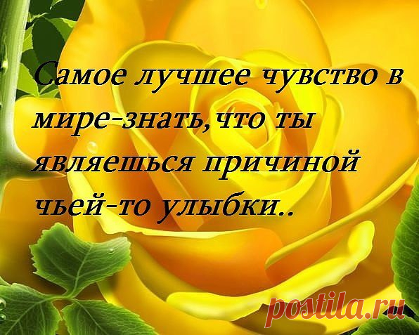 Интересные новости